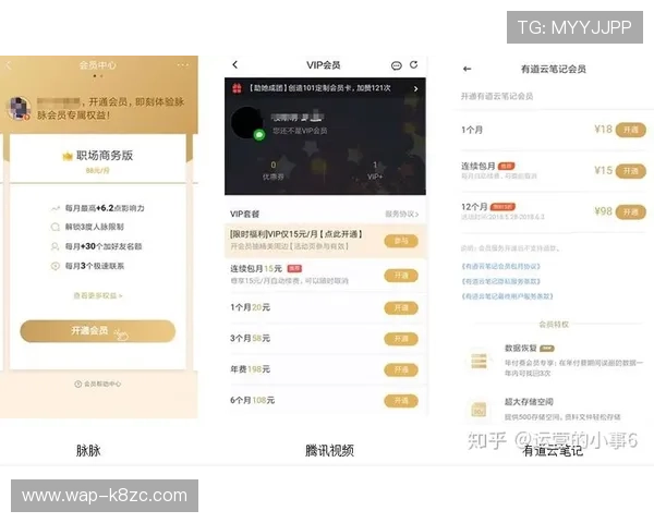 凯发集团娱乐平台官网首页VIP会员制度与专属福利权益介绍